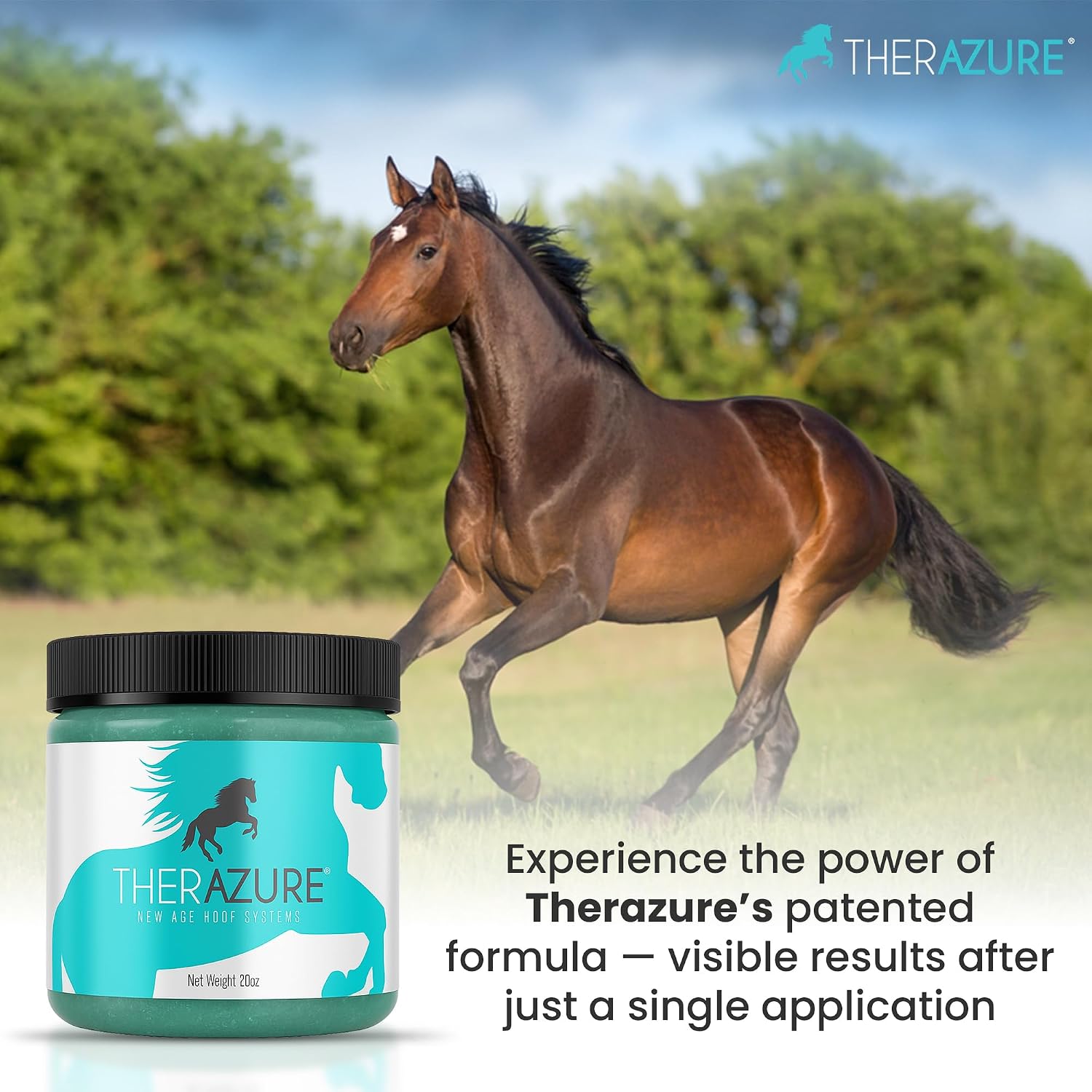 Premium horse thrush remedy clay jar packaging details.