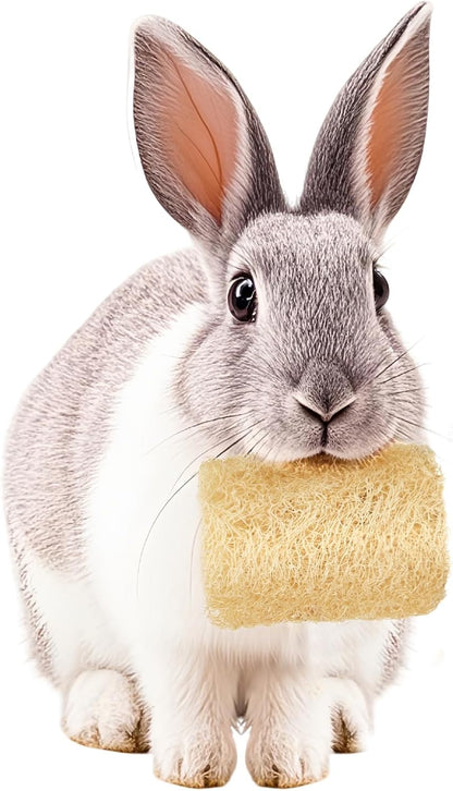 BESNEW 3 PCS Rabbit Chew Toys,100% Natural Loofah Without Additives,Bunny Chew Toys for Teeth,Fiber-Rich Rabbit Treats for Bunny Chinchilla Dogs - Image 9