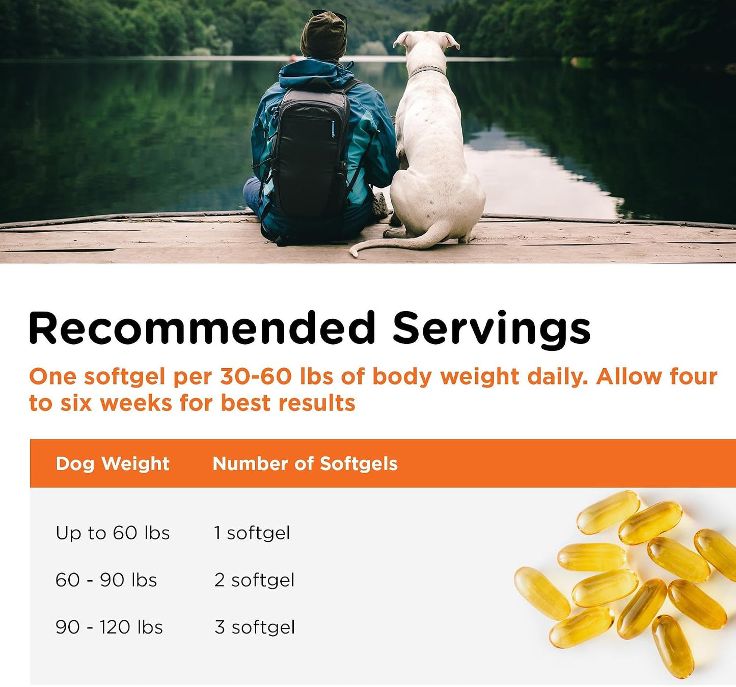 Nutri-Vet EPA DHA formula dog skin and coat supplement packaging