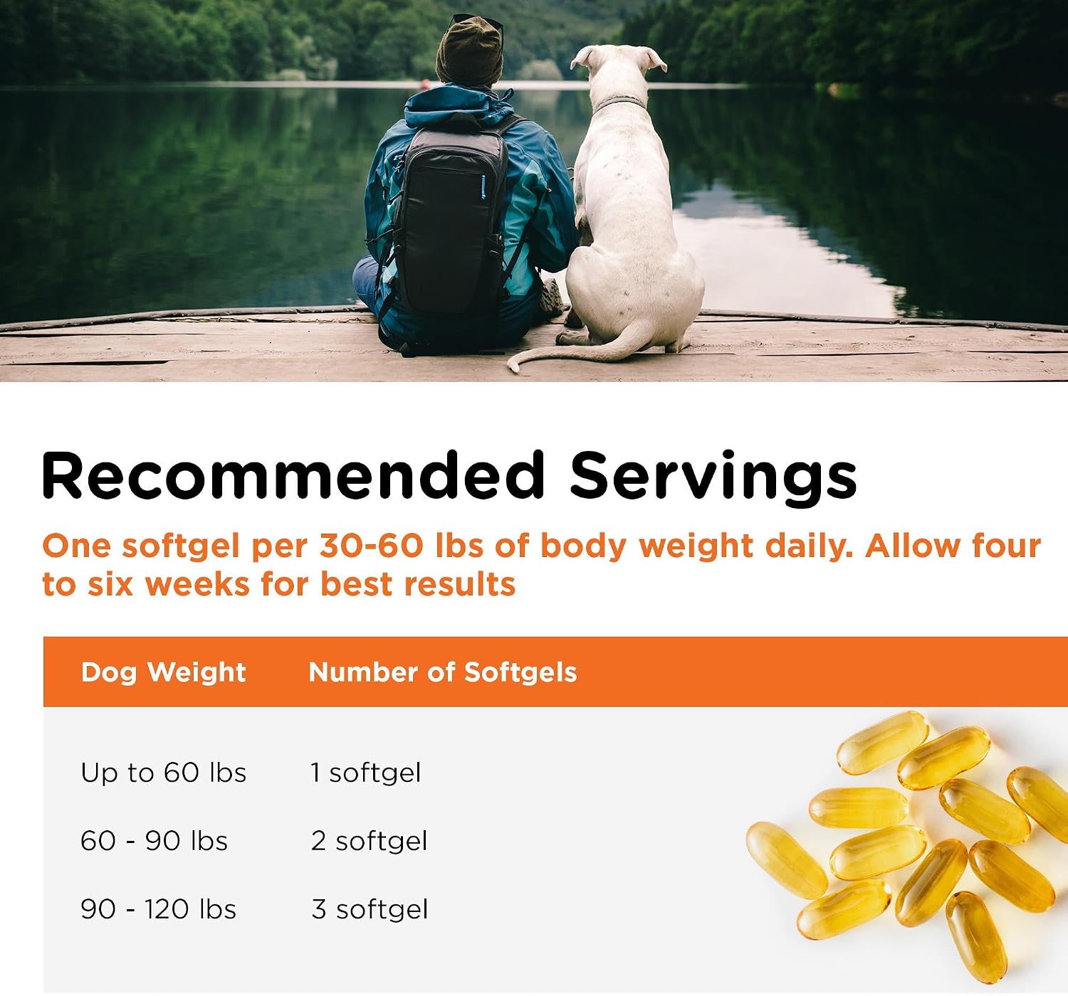 Nutri-Vet EPA DHA formula dog skin and coat supplement packaging