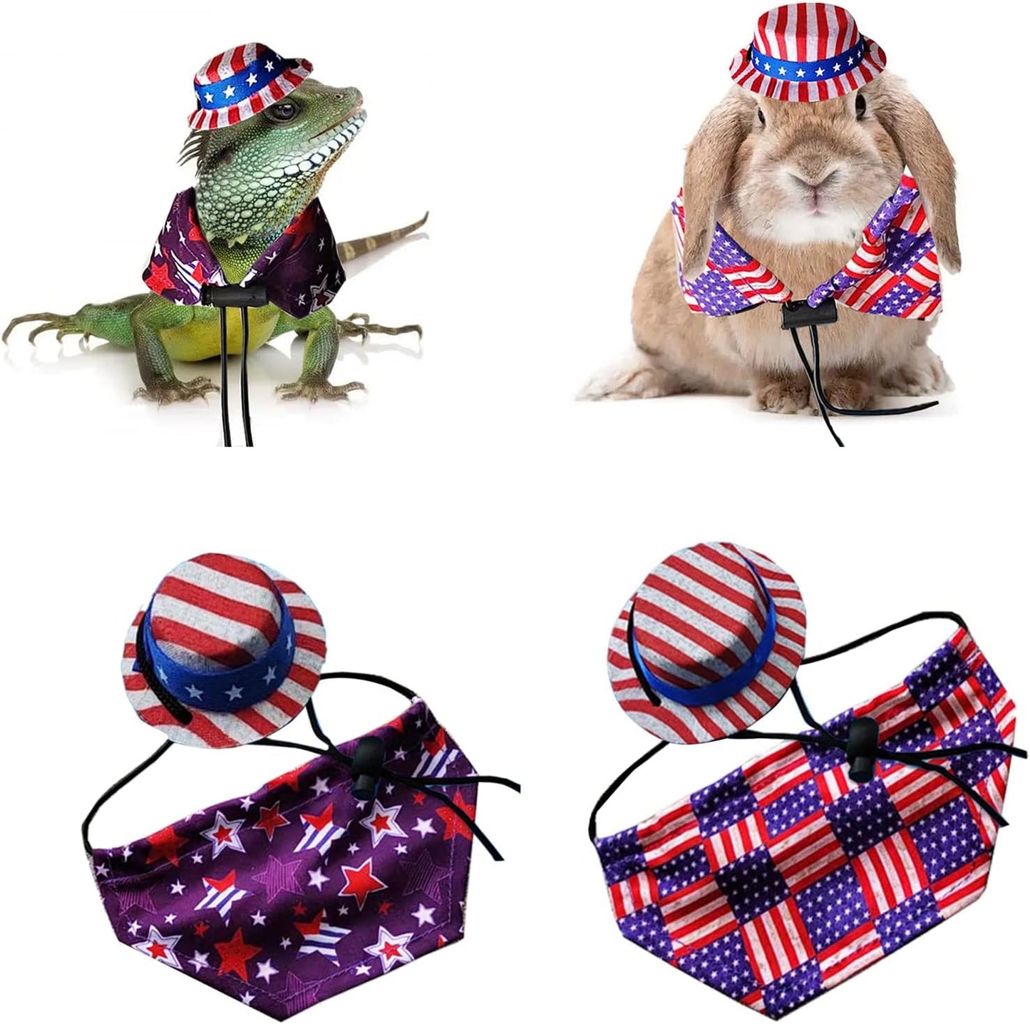 Small reptile wearing patriotic flag top hat and cloak