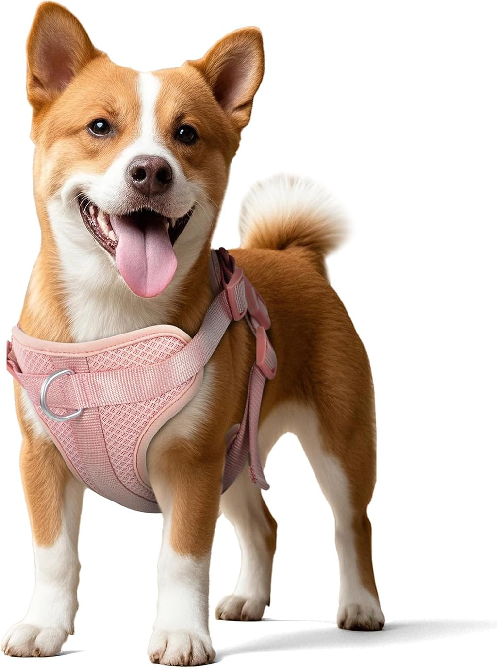 Wisedog pink harness front leash clip feature
