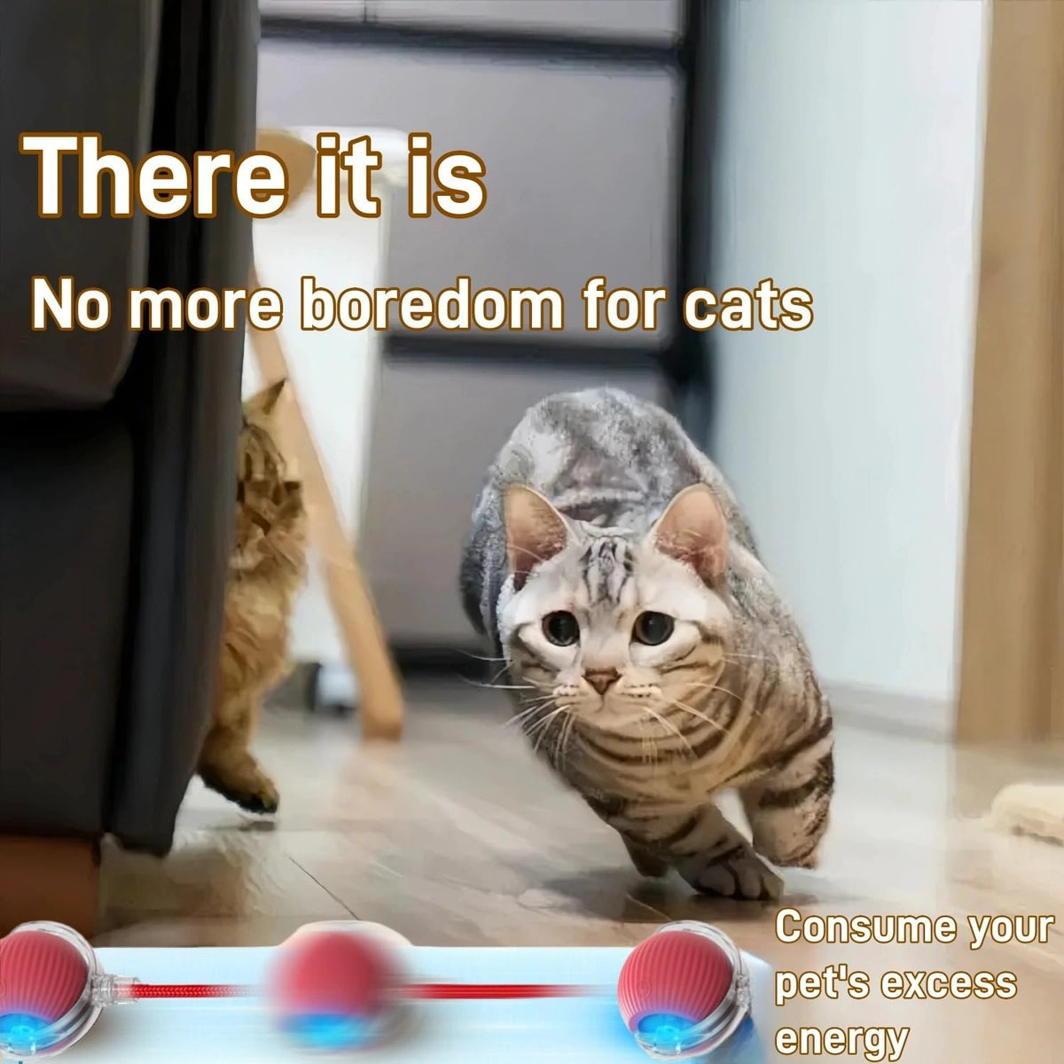 Small kitten playing with motion activated rolling ball
