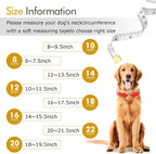 Detailed shot of the robust locking mechanism on the premium imported gold Cuban link chain for dogs and cats.