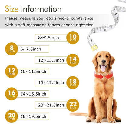 Detailed shot of the robust locking mechanism on the premium imported gold Cuban link chain for dogs and cats.