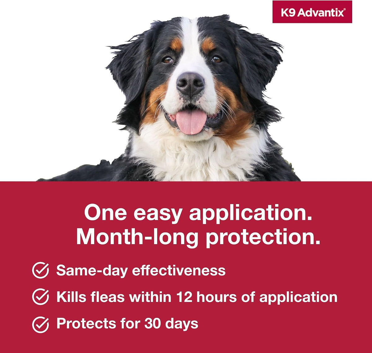 Waterproof flea and tick protection drop application illustration for large dogs