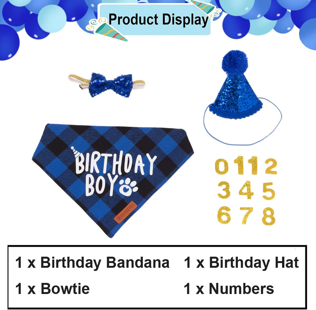 Dapper sequin bowtie collar for male cat birthday outfit
