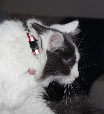 Demonstration of the quick release breakaway safety buckle on a bemix pets cat collar
