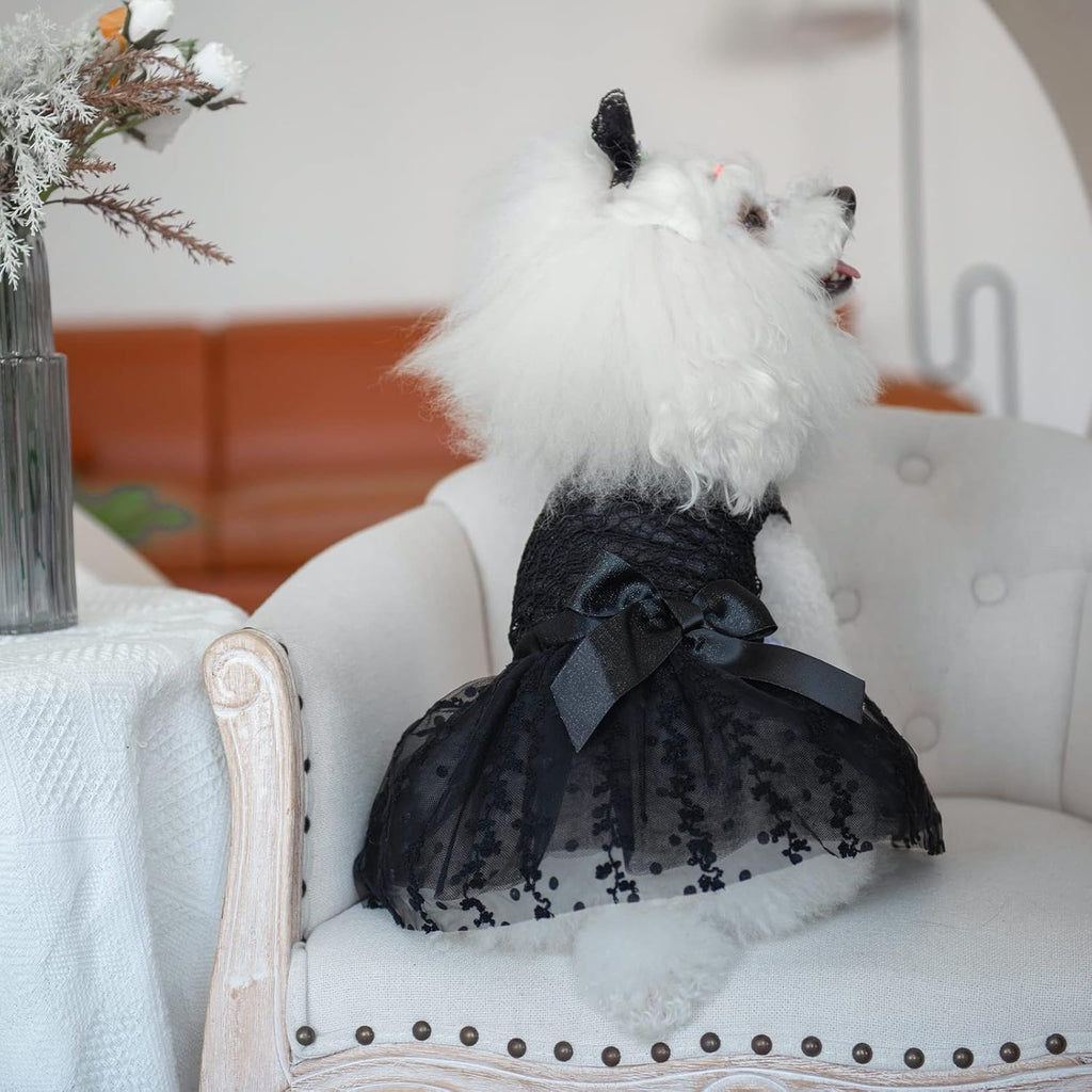CuteBone girl dog costume sparkly black lace details back view