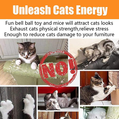 Close up view of non toxic crinkle balls and jingling bell spheres designed for indoor kittens.