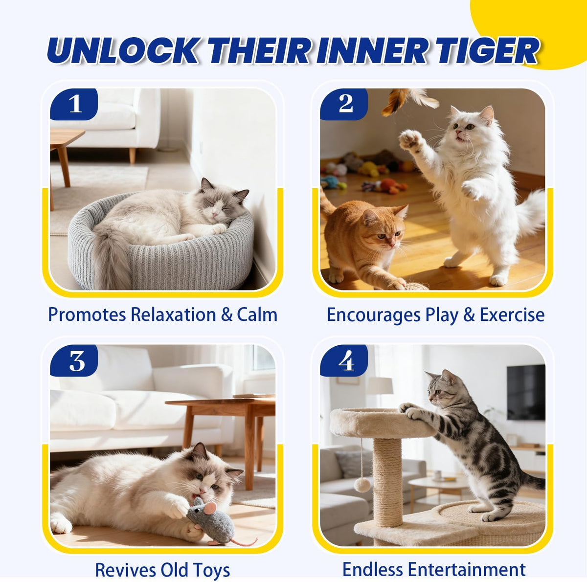Authentic USA imported pet behavior correction spray for Indian homes.