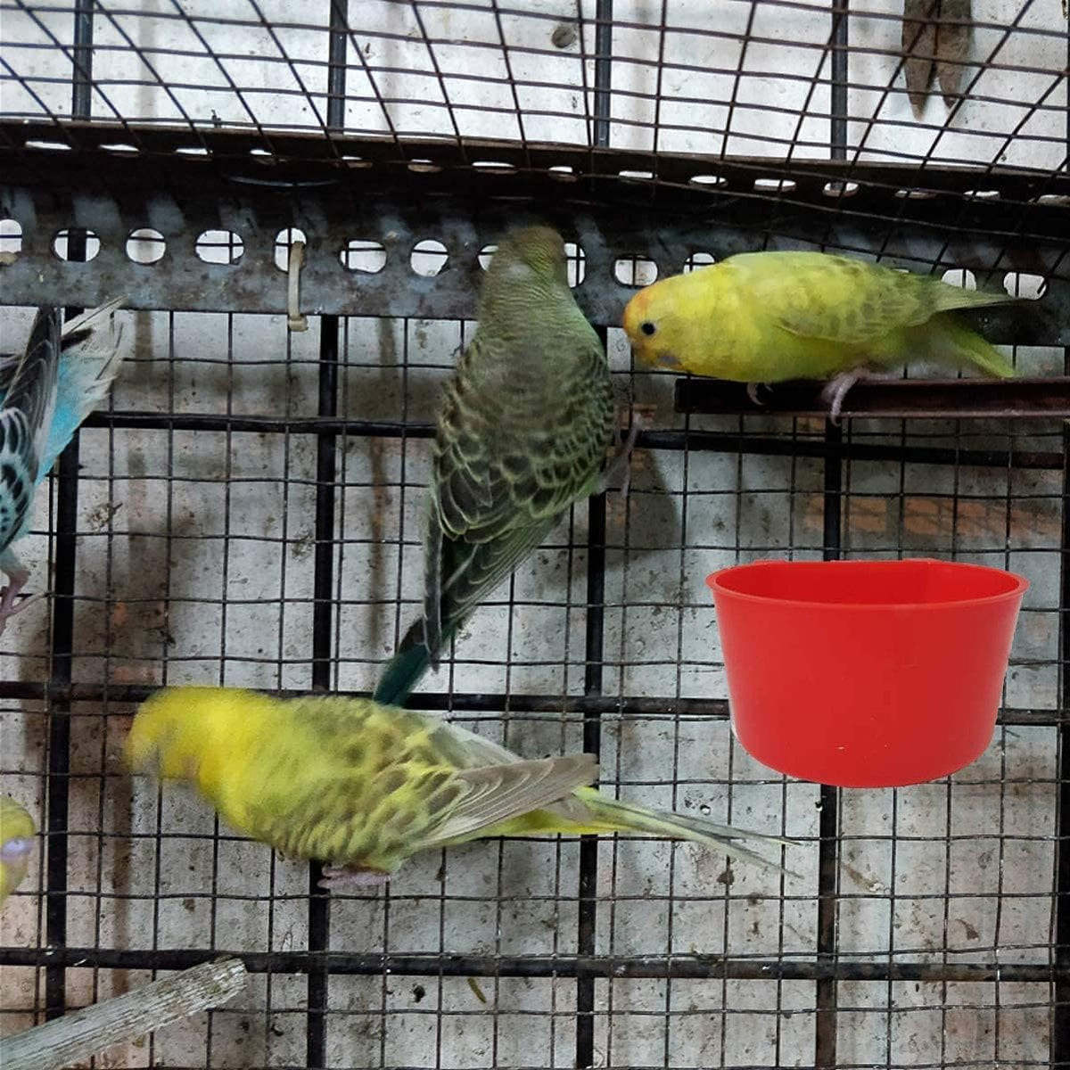 Oribuki bird feeder dish showing hanging hooks