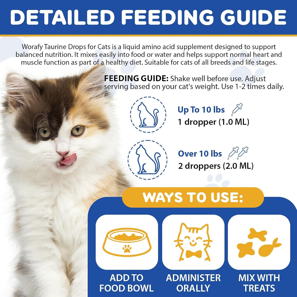 Premium liquid taurine drops mixed into cat food for daily vitality