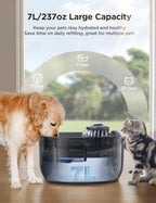 Feelneedy large capacity pet water dispenser blue
