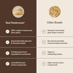Real Mushrooms Lion's Mane Capsules, Brain, Focus and Cognition, 120ct - Image 7