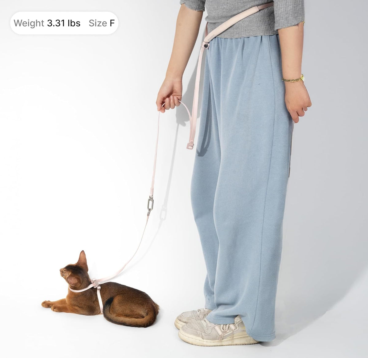Components of BuddyArmor cat walking set including leash and harness