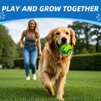 Dog playing with interactive Shake and Laugh ball in grass