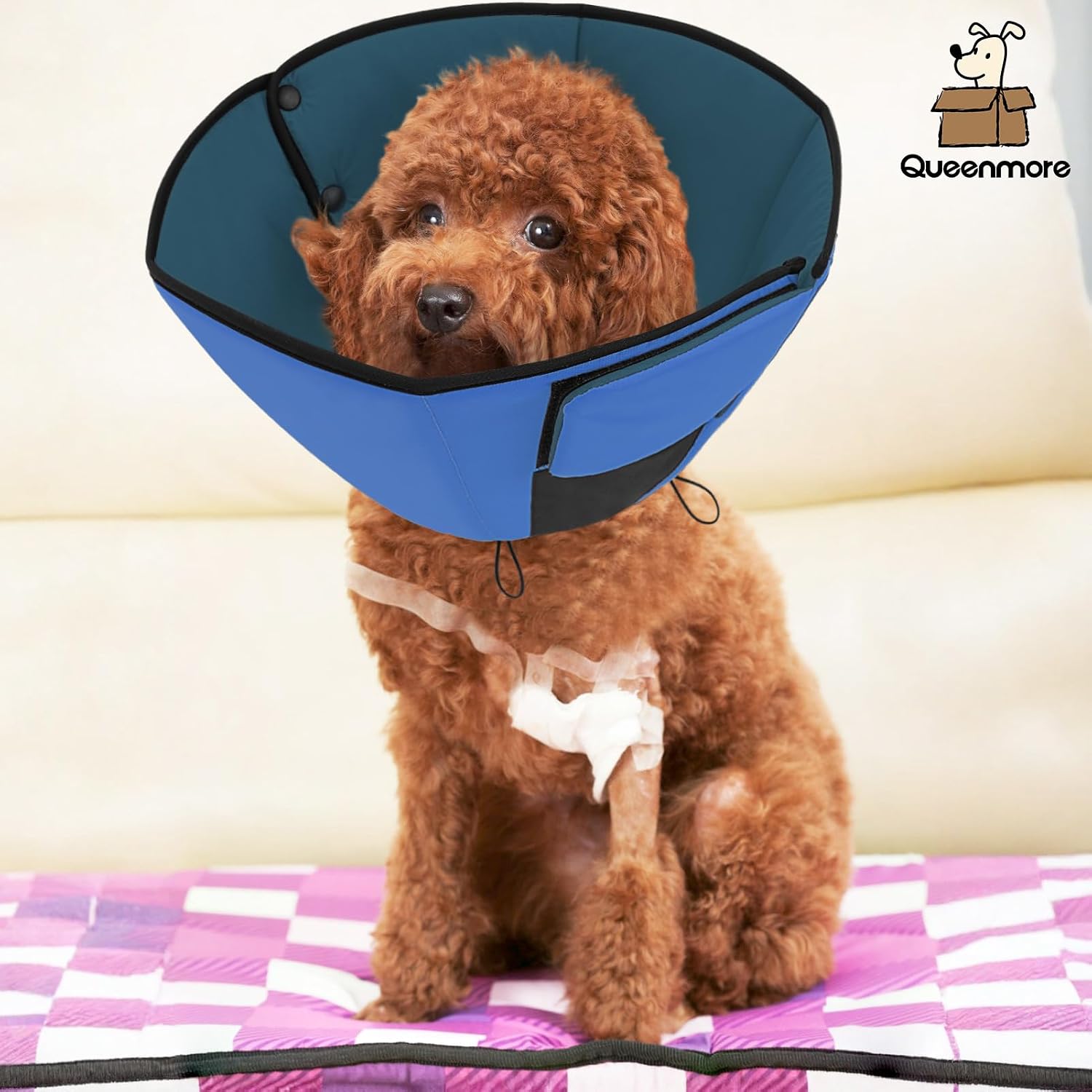 Queenmore protective e-collar for pets showing anti licking depth measurement