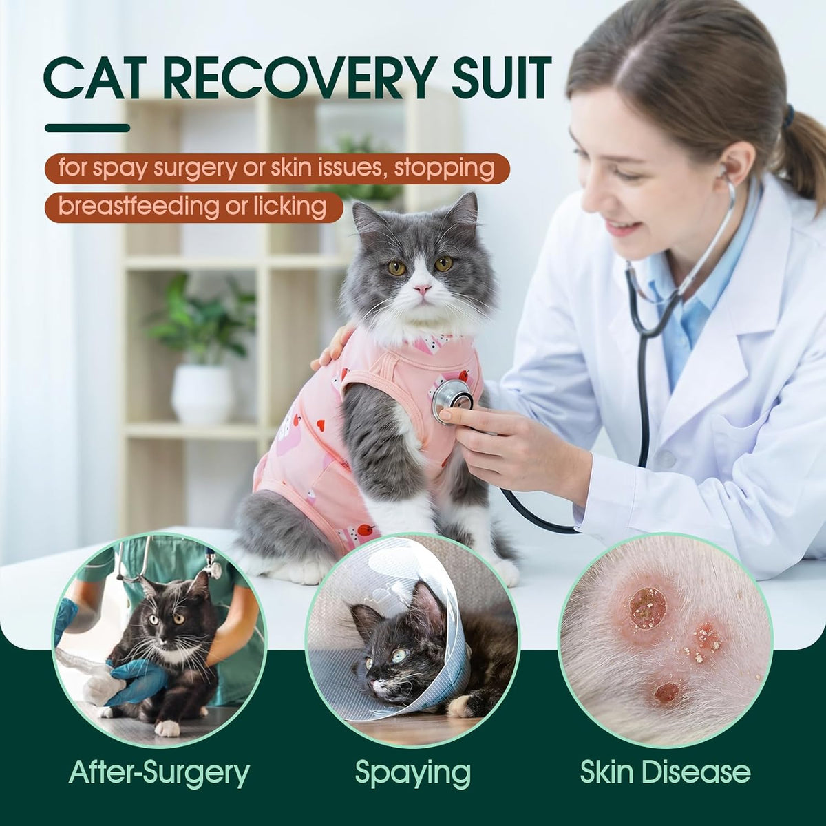 Cat wearing Kuoser recovery suit after surgery