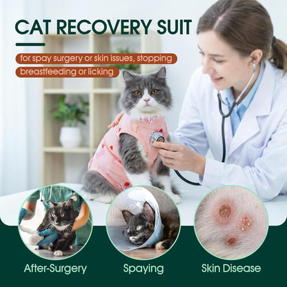 Cat wearing Kuoser recovery suit after surgery