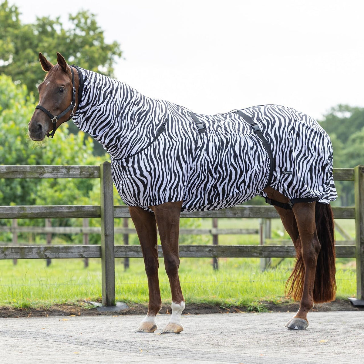 QHP UV resistant horse blanket side view illustrating complete insect protection coverage.