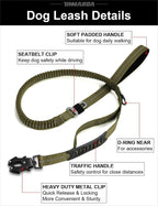 Tinmarda heavy duty dog leash attached to a harness for medium large dogs