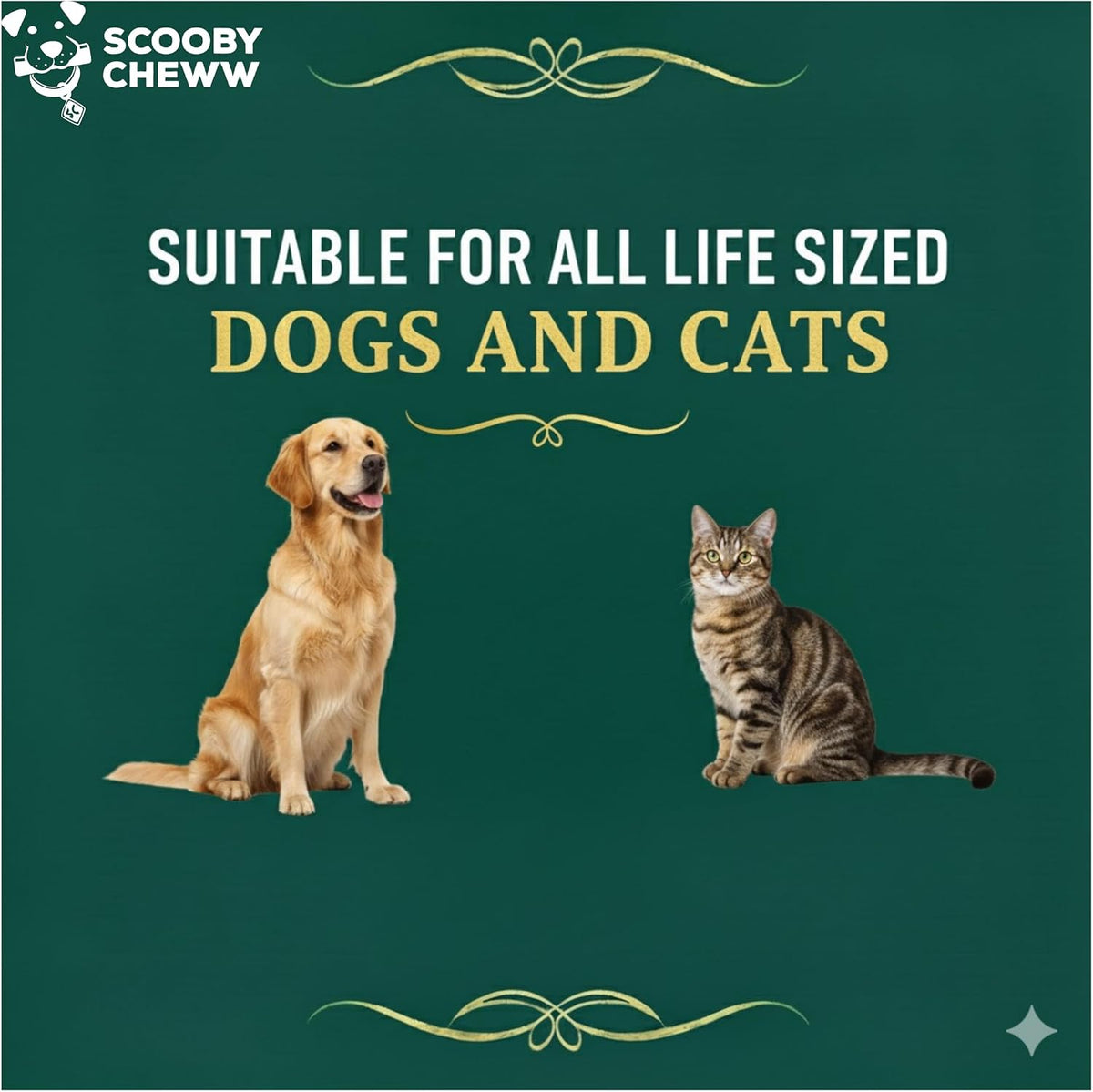 Healthy skin and coat support treats for pets