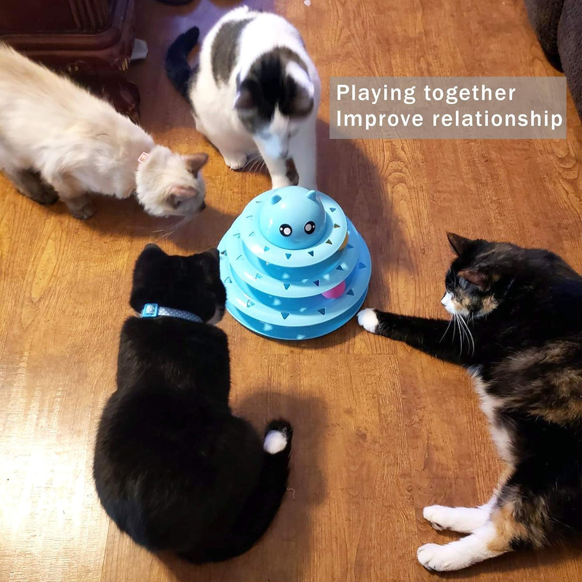 Upsky cat toy roller imported interactive pet puzzle toy on a wooden floor