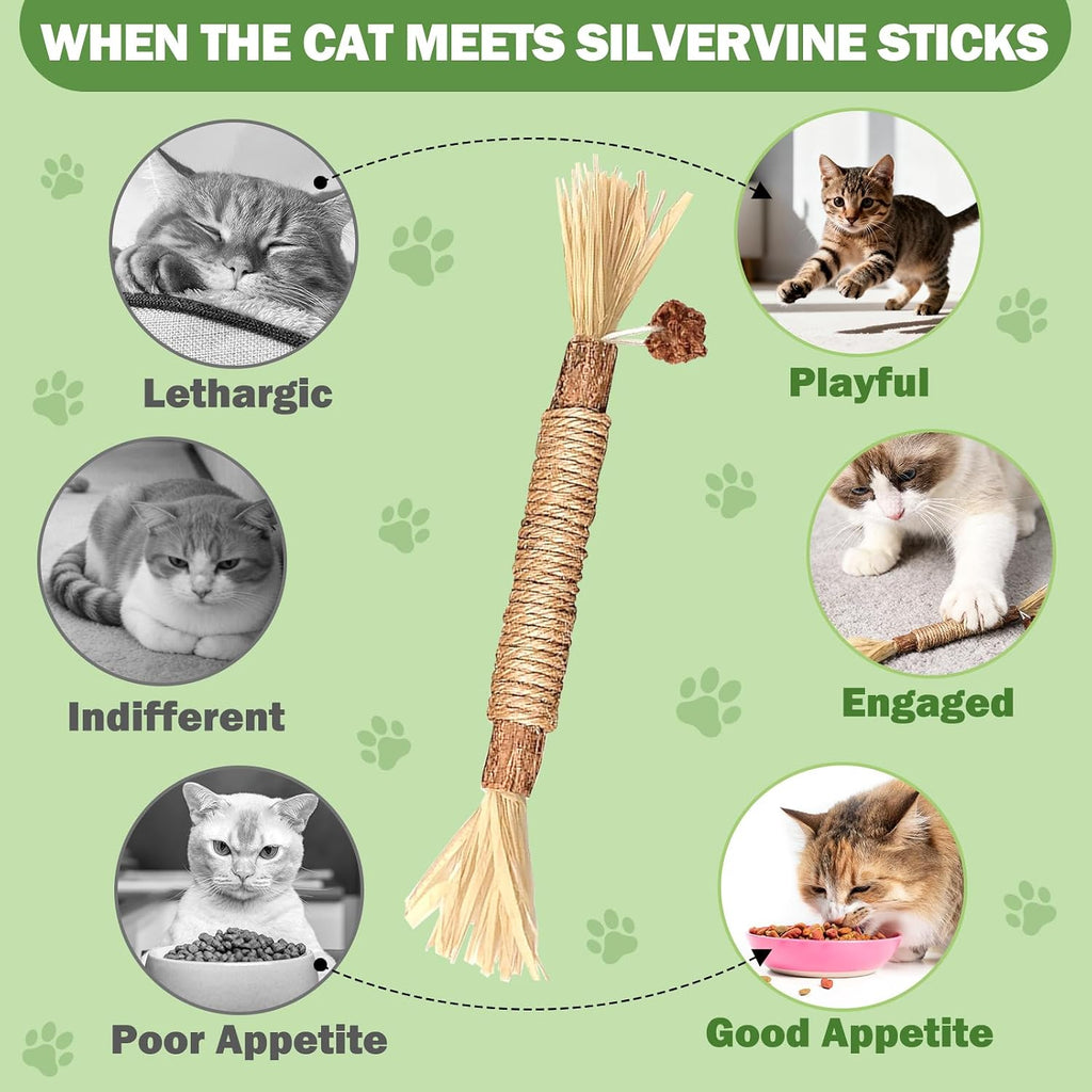 Close up of natural silvervine wood sticks for kittens