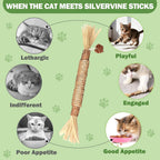 Close up of natural silvervine wood sticks for kittens