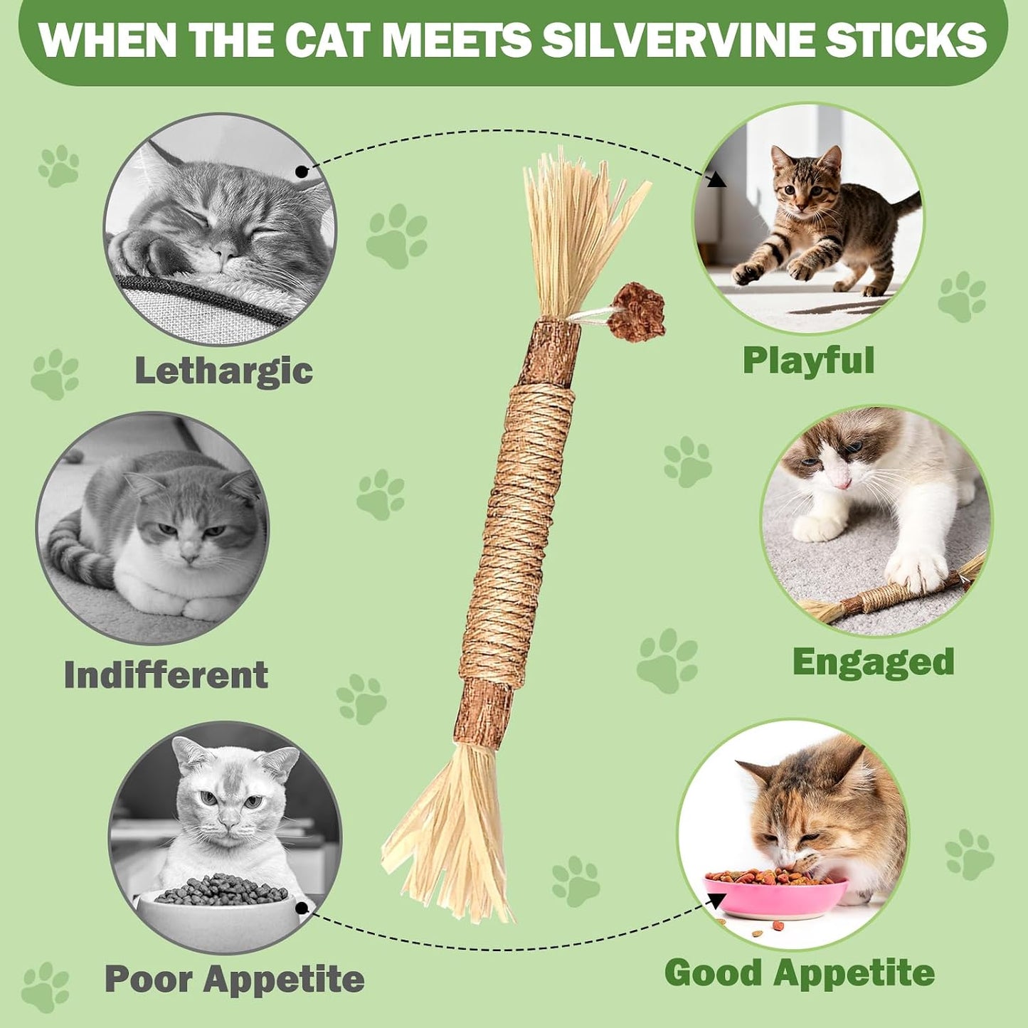 Close up of natural silvervine wood sticks for kittens