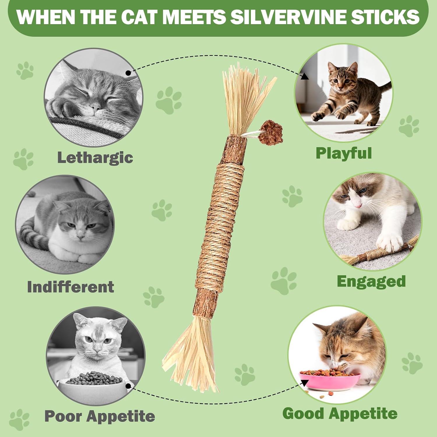 Close up of natural silvervine wood sticks for kittens