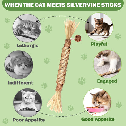 Close up of natural silvervine wood sticks for kittens