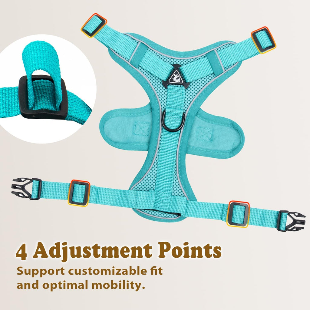 Jiiberl breathable mesh cat walking harness showing quick release buckle closure
