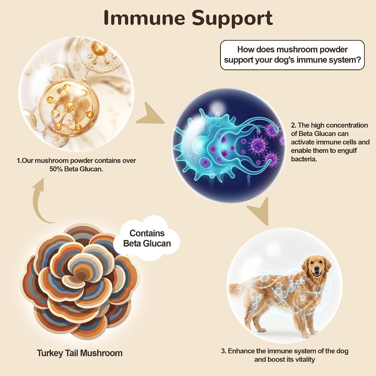 Organic dog immune and gut support mushroom powder scoop measurement guide
