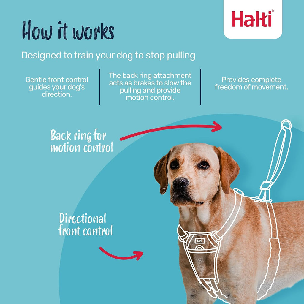 Black Halti harness medium size showing front control ring