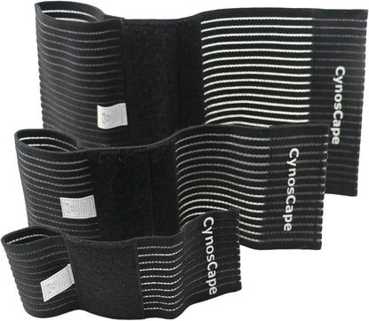 Rear leg application of Cynoscape compression support