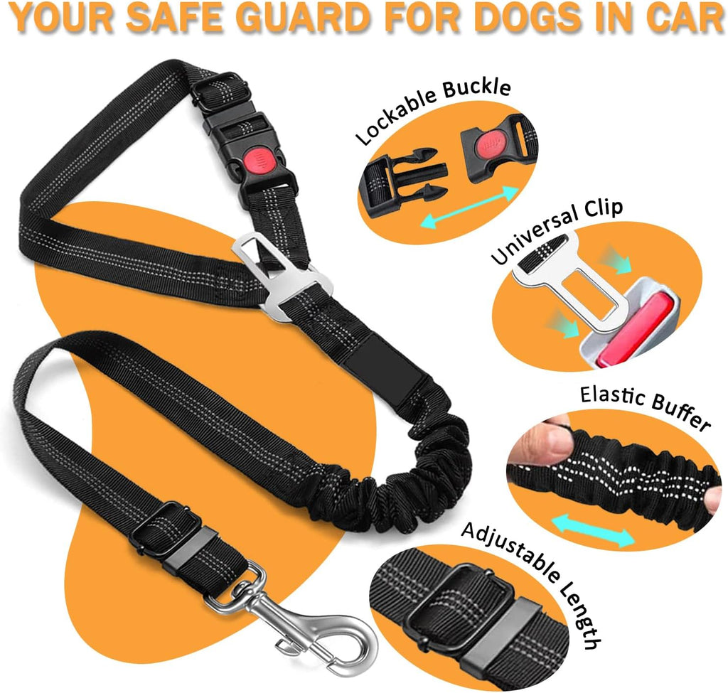 Durable aluminum alloy clip detail on Dvedo harness belt