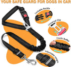 Durable aluminum alloy clip detail on Dvedo harness belt