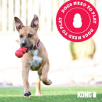 KONG Puppy Binkie puppy rubber pacifier toy erratic bounce display.