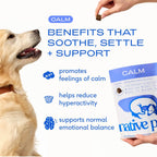 Native Pet dog melatonin anxiety relief treats pouch