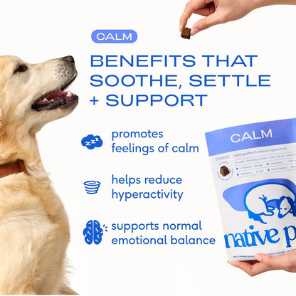 Native Pet dog melatonin anxiety relief treats pouch
