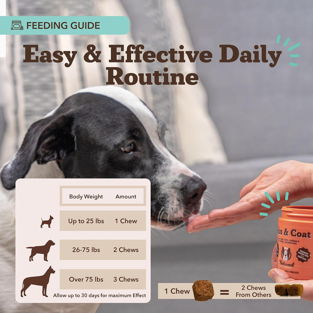 Premium dog coat shine chewable vitamins with biotin and vitamin E