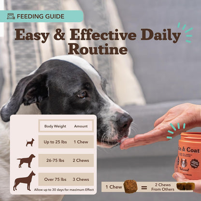 Premium dog coat shine chewable vitamins with biotin and vitamin E