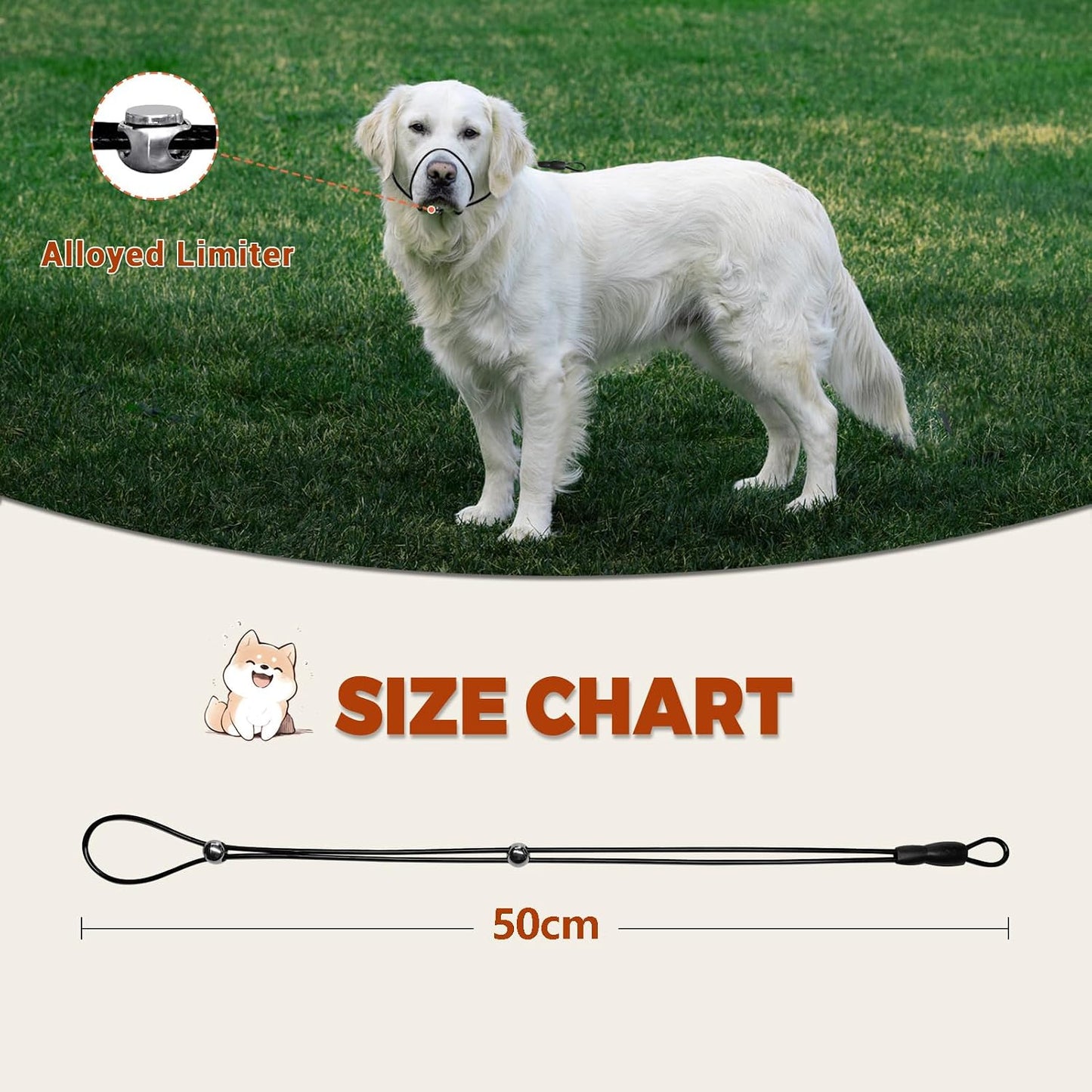 Weather proof dog head collar for outdoor walking