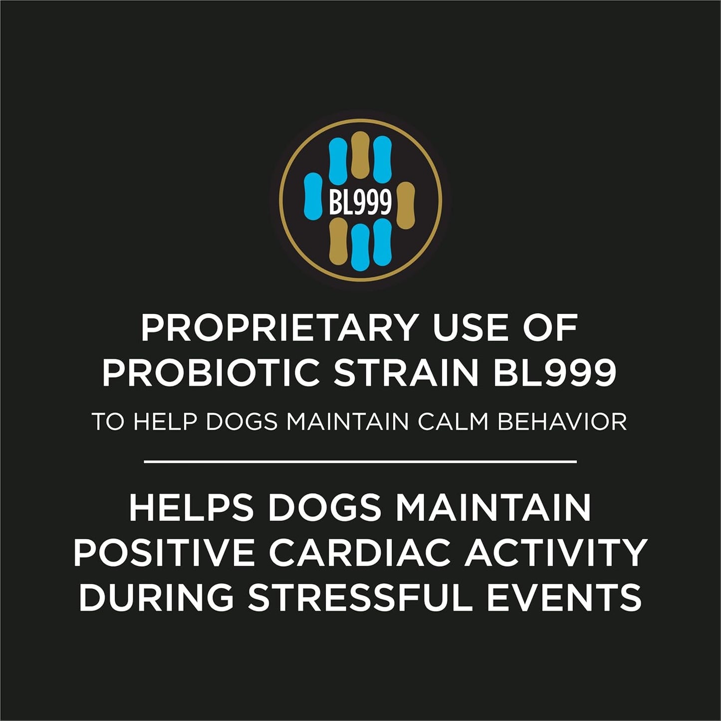 Veterinary recommended canine gut brain axis calming supplement
