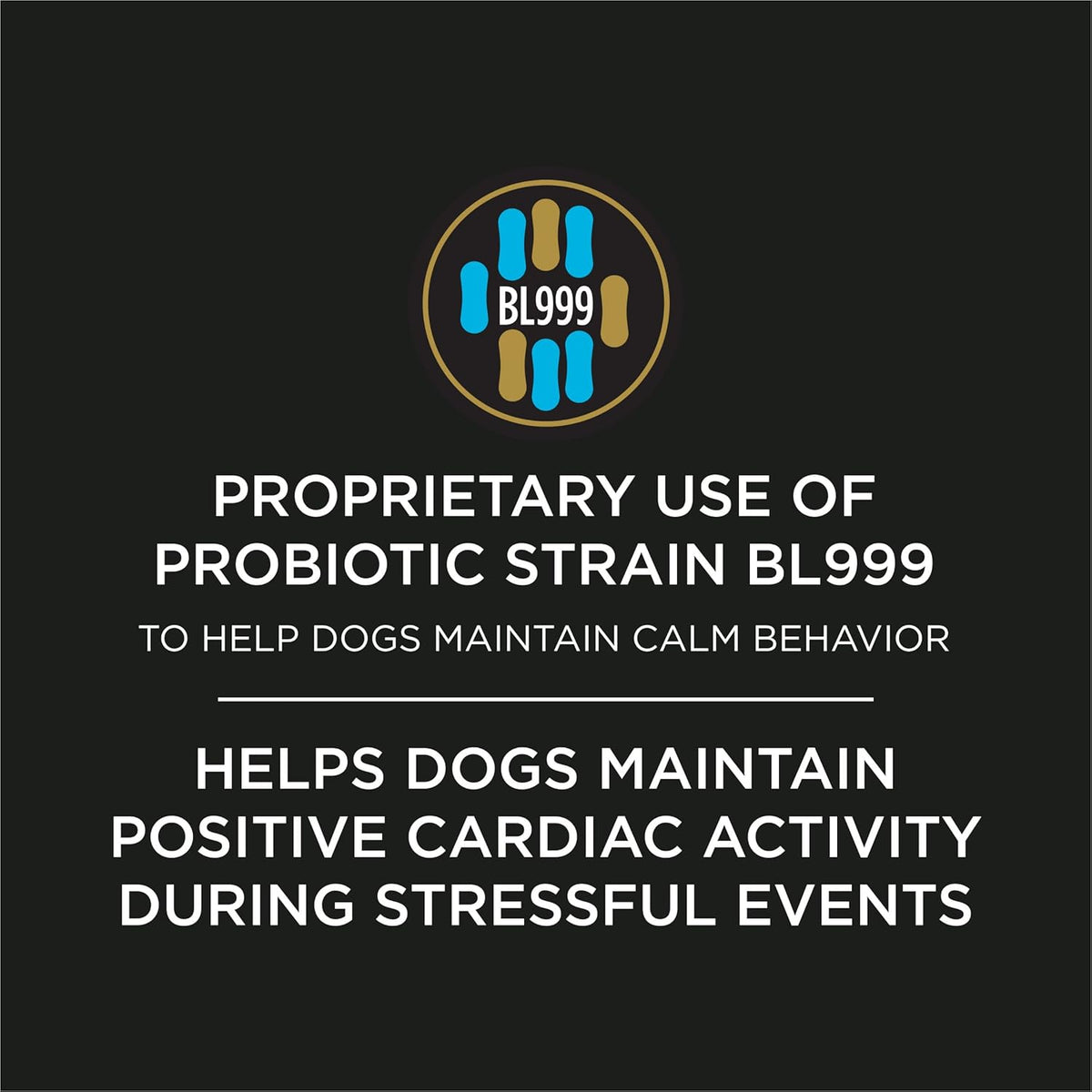 Veterinary recommended canine gut brain axis calming supplement
