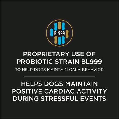 Veterinary recommended canine gut brain axis calming supplement