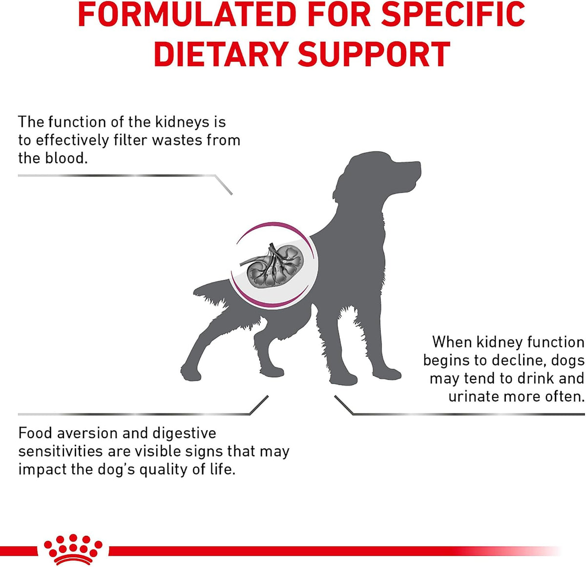 Side view of the Royal Canin Renal Support F dry dog food bag displaying product authenticity details.