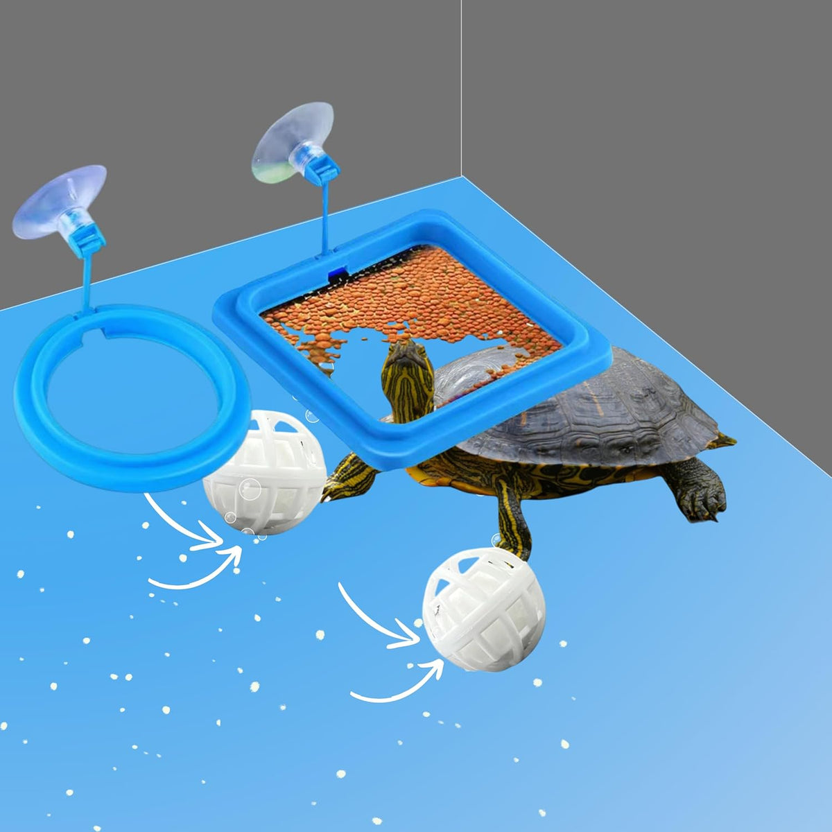 A floating square fish food holder ring separating food to prevent tank bullying.